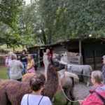 Artikel in der RP über unsere Lama-Wanderung