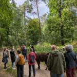 Artikel in der RP über unsere Lama-Wanderung