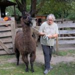 Artikel in der RP über unsere Lama-Wanderung
