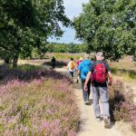 JoerißenKultur: Spaziergang mit "Waldbad" an der Dalheimer Mühle
