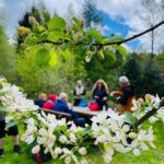 JoerißenKultur: Spaziergang mit "Waldbad" an der Dalheimer Mühle
